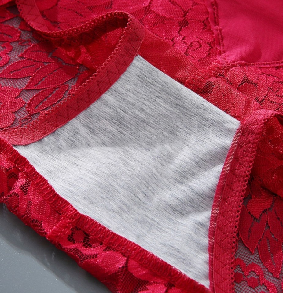 3 Pack Plus Size Lace Sheer Panties Mid Rise Briefs Double Layer Gusset Sexy