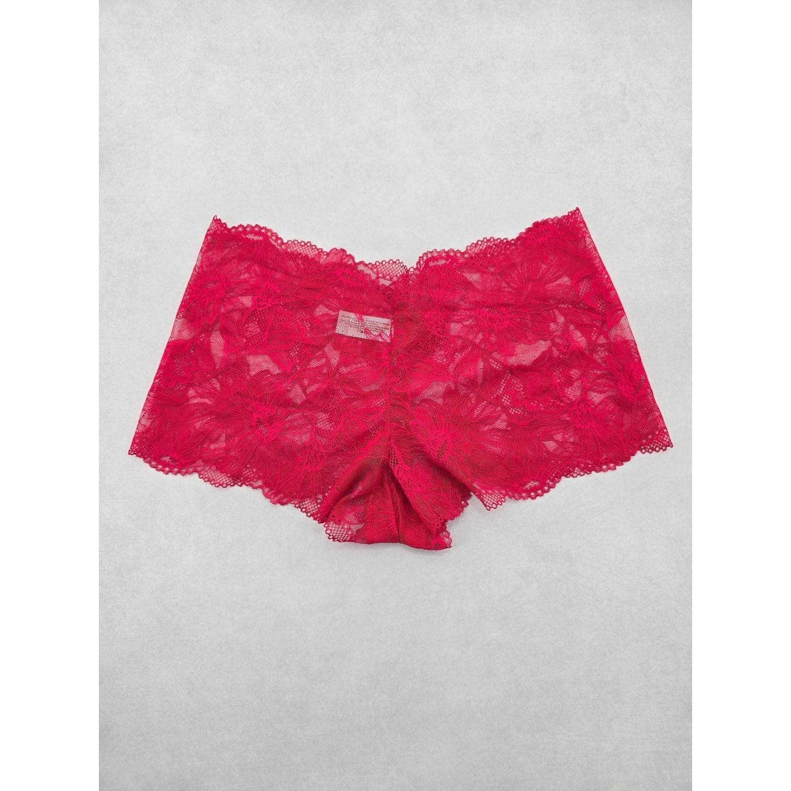 Lace Red Panty Lace Dainty Whimsy Sexy Goth Fairy Coquette Bridal XL 16/18