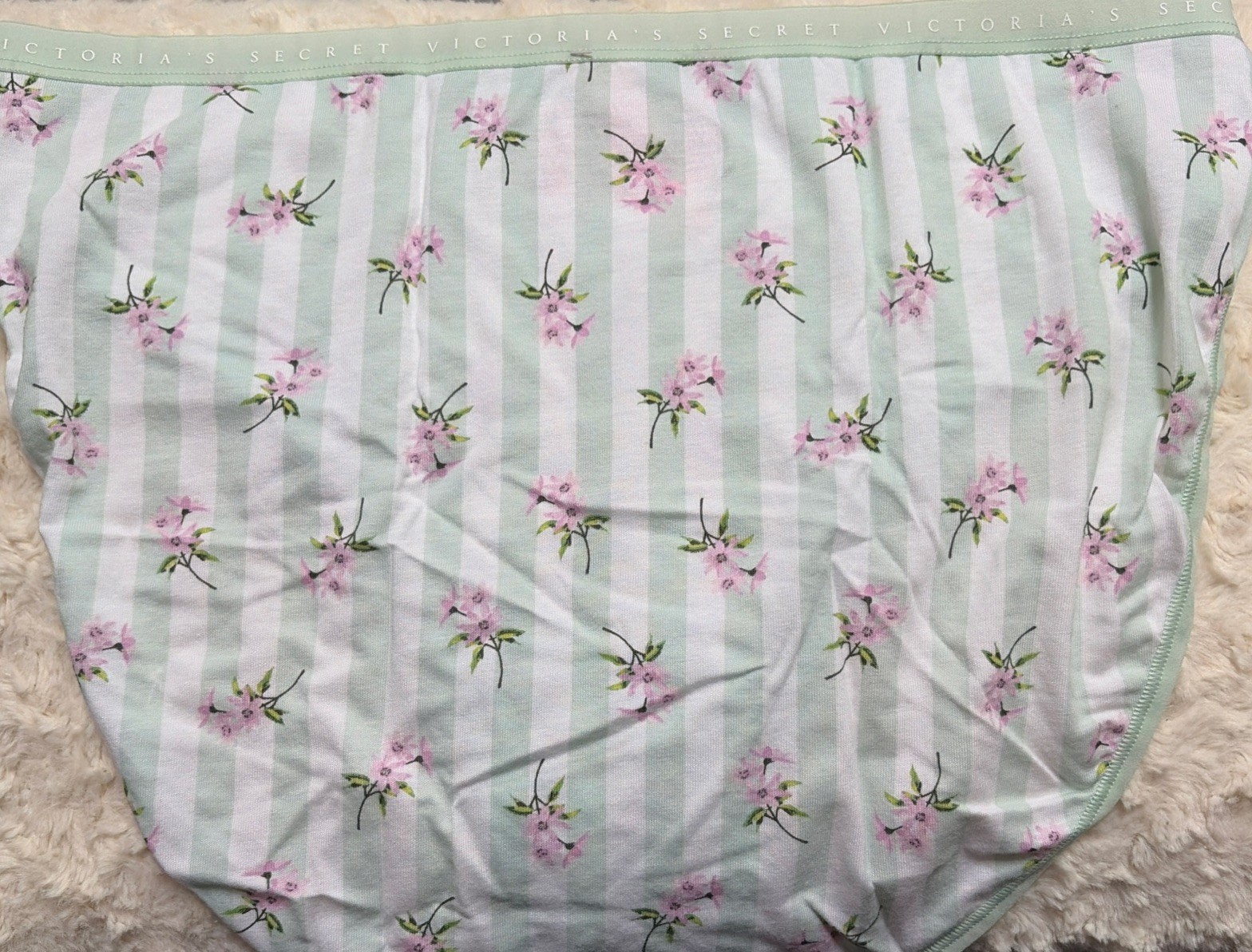 New Victoria’s Secret Green Stripe Floral cotton/modal High Leg Brief panty, XL