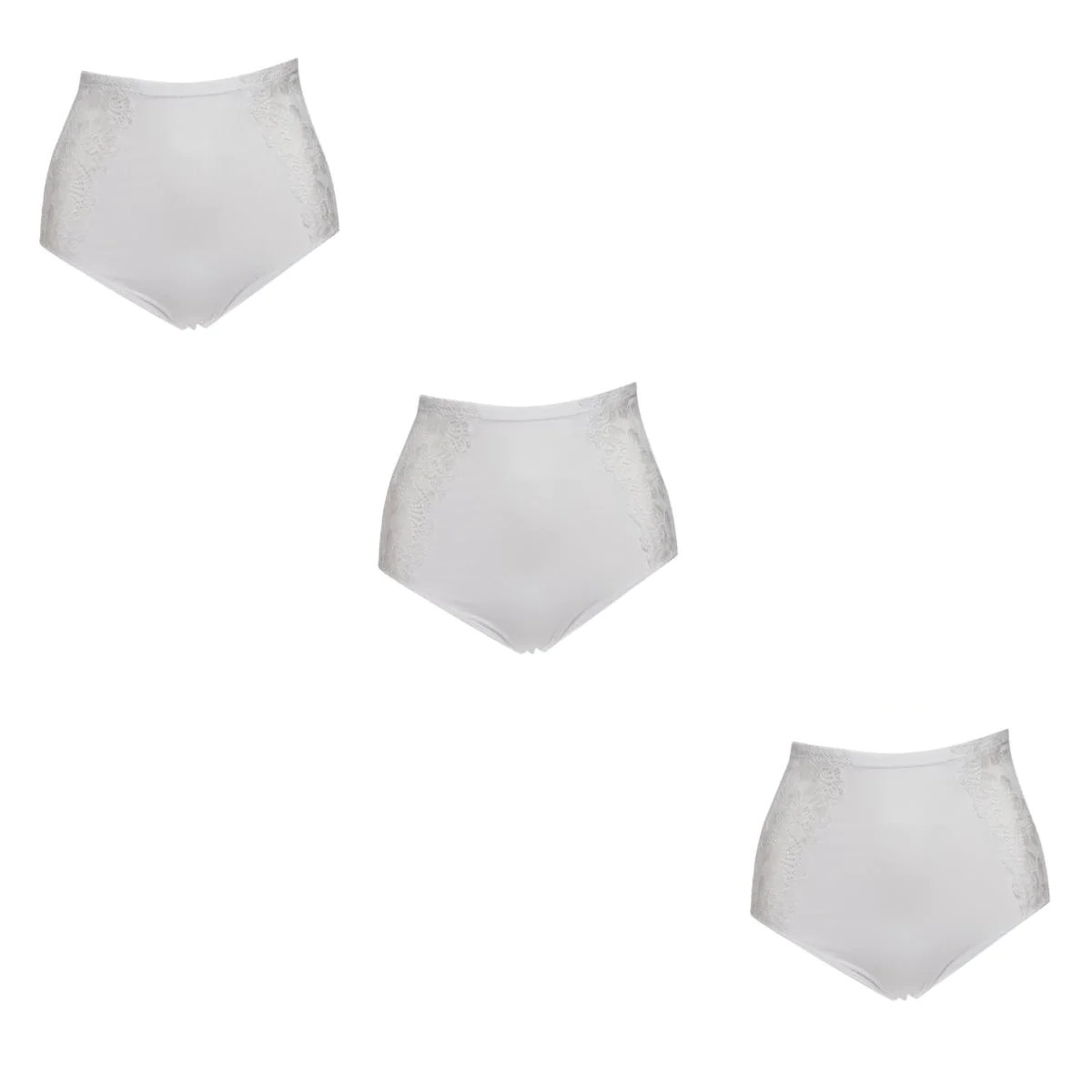 Rhonda Shear Seamless Lace Brief 3-pack 605377-J