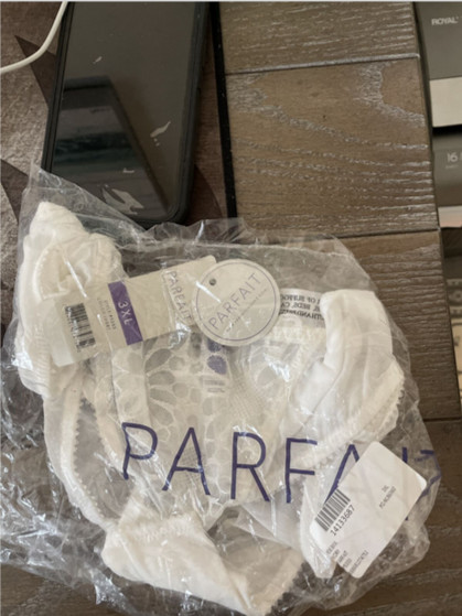 NWT PARFAIT ivory bikini style panties