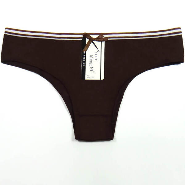 6 x Womens Sheer Spandex / Cotton Briefs – Assorted Colours Underwear Undies