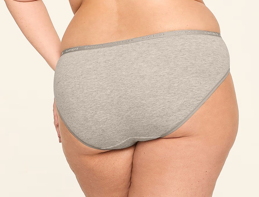 NWT – Lane Bryant Gray Cotton Hipster Sz 18/20 – $12.50