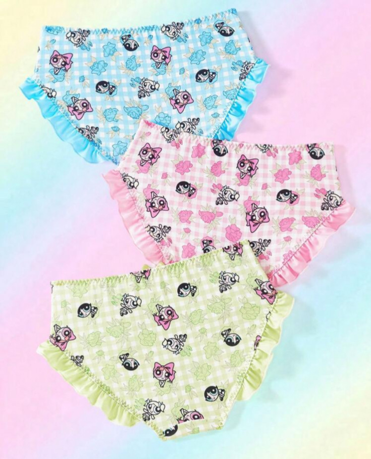 Powerpuff Girls Licensed Kawaii Y2K Cute Cartoon Brief Panties size L pack of 3