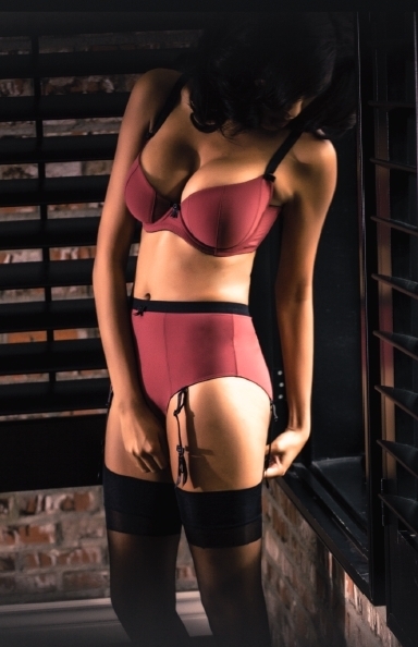 Claudette Sophia Retro Hi Cut Brief Garter Panties Lingerie Pin Up Panty OxBlood