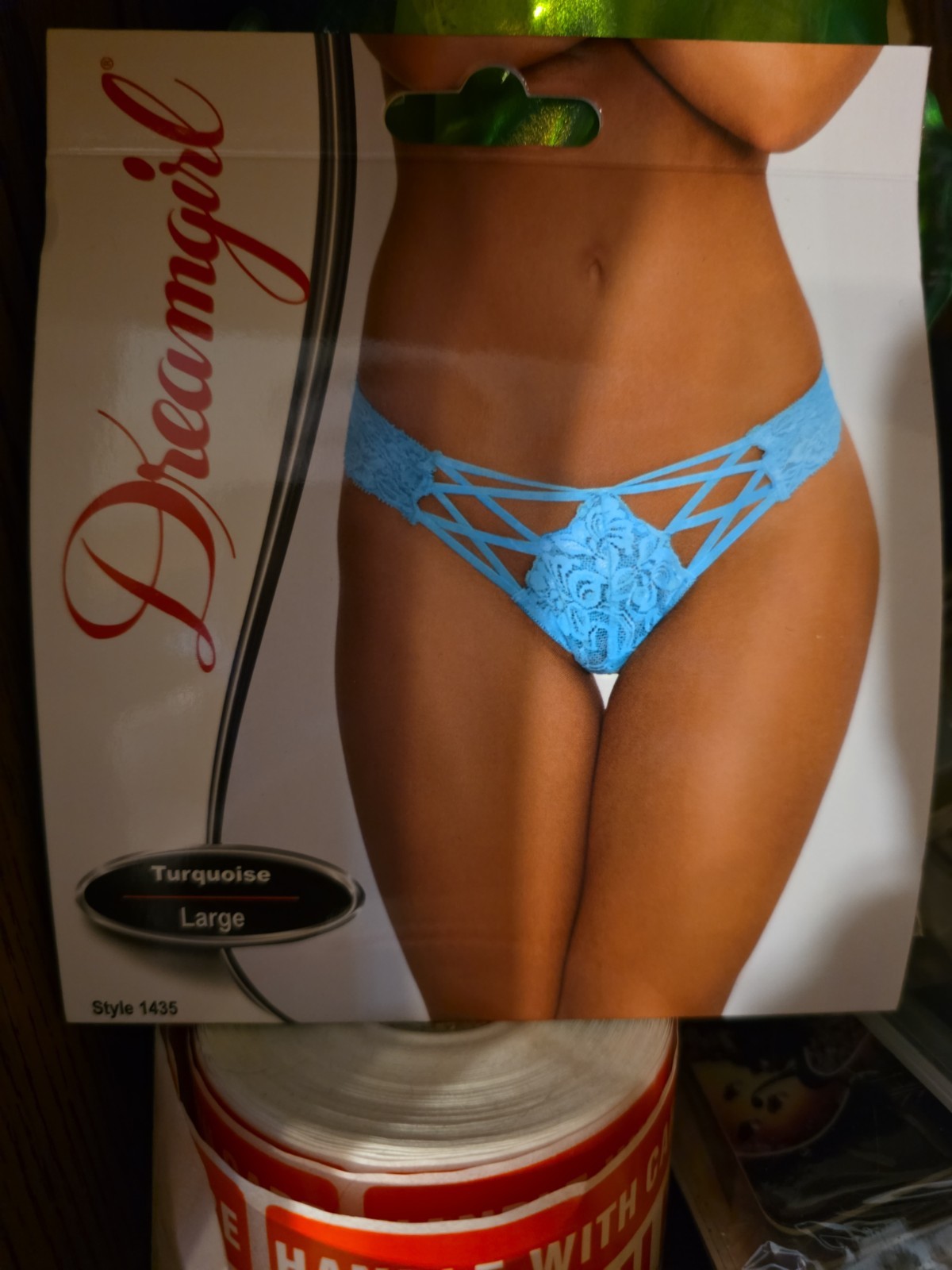 Dreamgirl Sz L Stretch Lace Bikini Panty Underwear Elastic Criss-Cross Detail