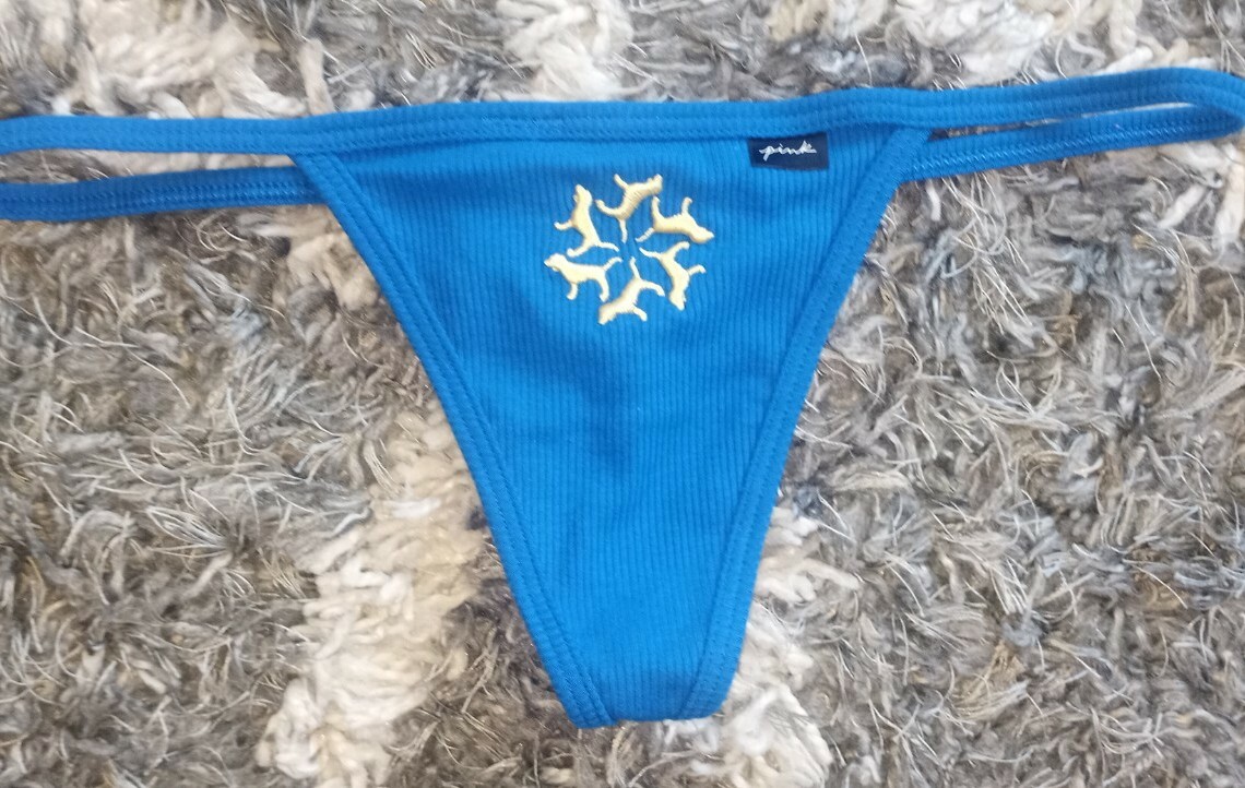 NeW Vs pink cotton ribbed V-string Panty medium blue embroidered snowflake logo