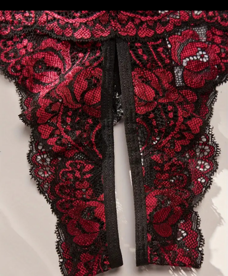 Women’s Multi-Color Sheer Lace Embroidered Crotchless Panty Lingerie L