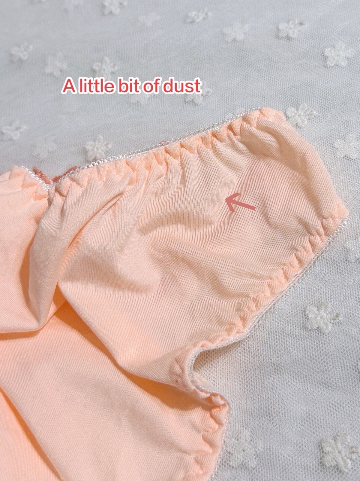 Set Of 3 US-L, XL/JP-4, 5L Japanese Embroidery Nylon Leakproof Period Panties