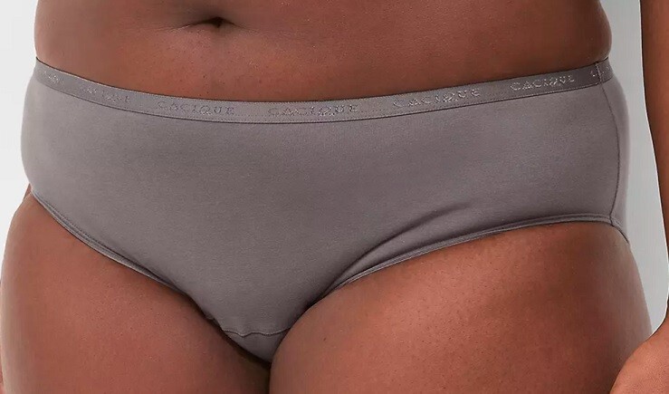 NWT – Lane Bryant Grey “Leak Proof” Hipster Panties 18/20 – Retail $20.50
