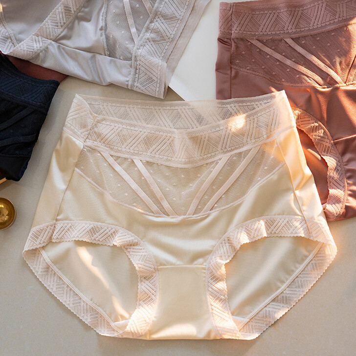 1/6 Pack Lot Women Silky Satin Panties Underwear Sheer Mid Waist Brief Lingeries