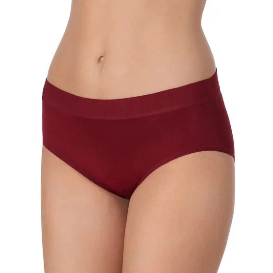 Carole Hochman Women’s 5-Pack Full Coverage Stretch Hipster, Multicolor, L