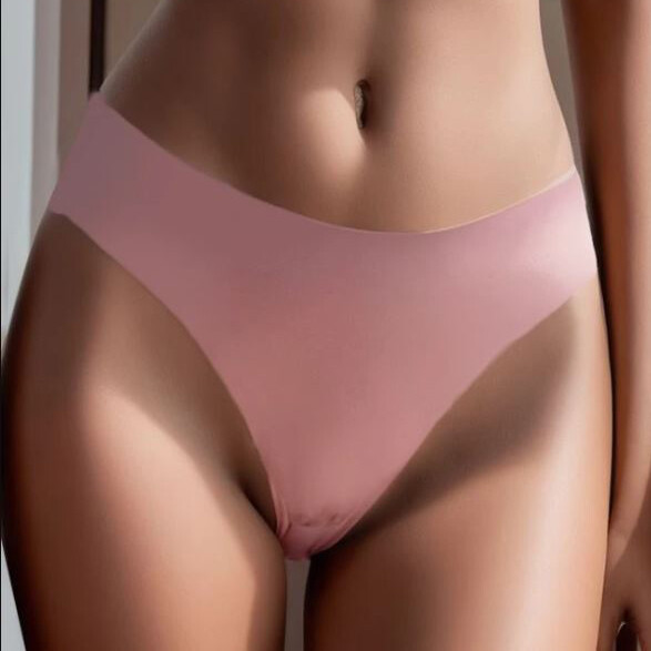 6PCS/LOT Womens Sexy Panties Brief Sheer French Lace Underwear Bikinis Lingeries