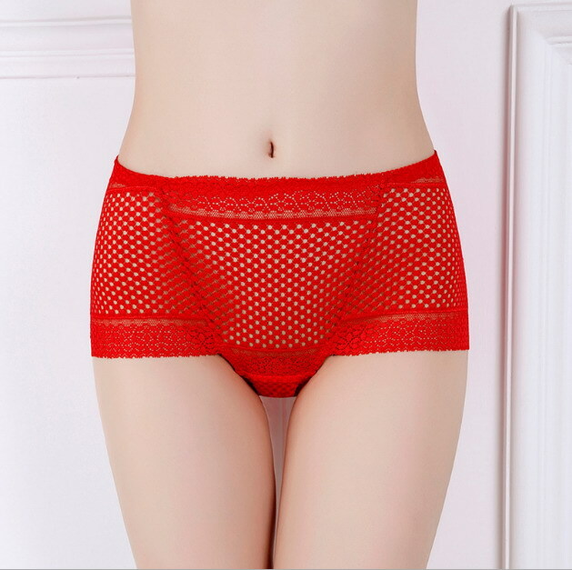 Women Briefs High Waist Lace Mesh Solid Hip lift Plus Size Underpants 89919