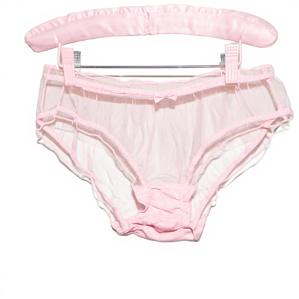 Vintage Style Completely Sheer Transparent Nylon Panties Retro look Sexy