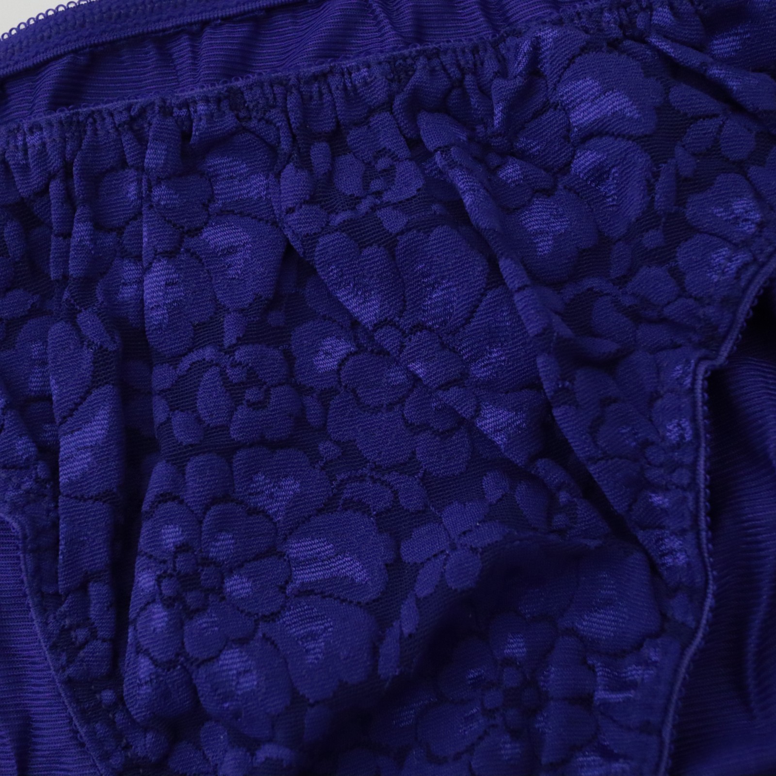 NEW Fruit of the Loom VTG 90s Lace Silky Antron Nylon High Cut Brief Panty LARGE