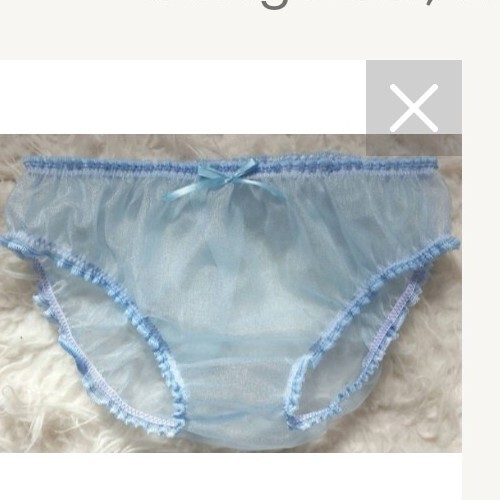 🌸MADE TO ORDER* “Organza see-through ” Sissy Knickers any size&colour 🌸