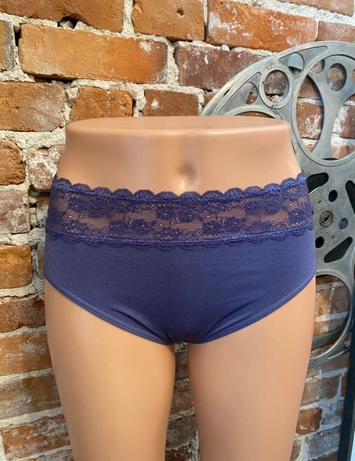 Breezies Denim Blue Seamless Comfort Hipster with Lace New Panty Brief