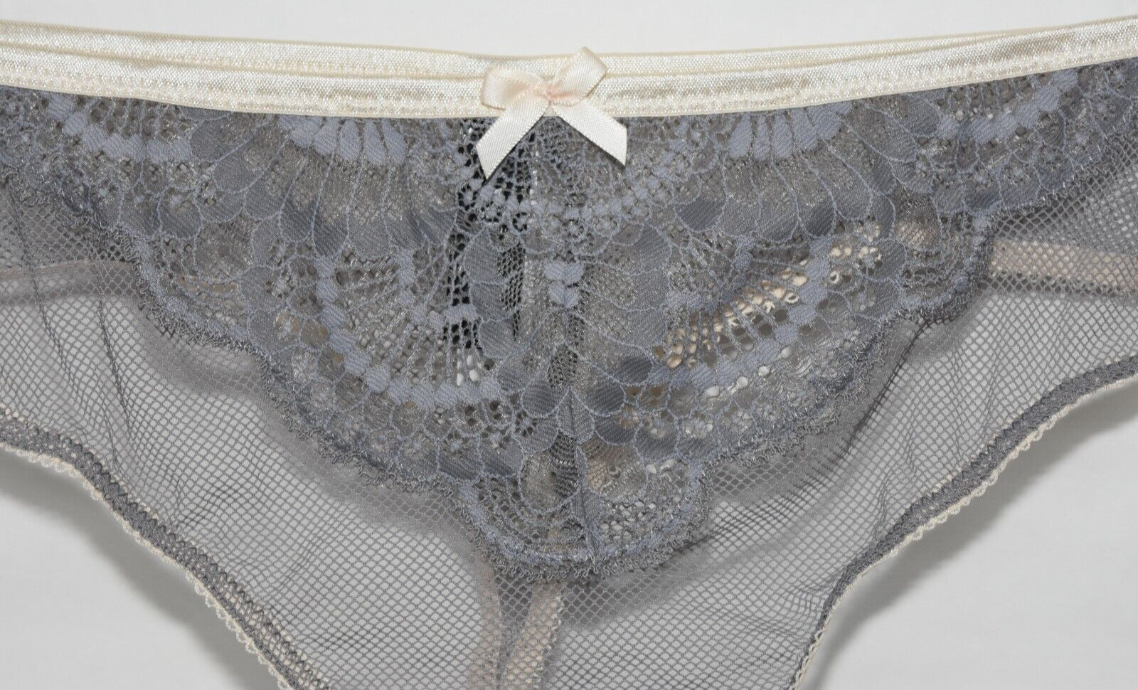 NWT Adore Me Gray Fishnet Lace Thong Ivory Details Panty 3X 3XL