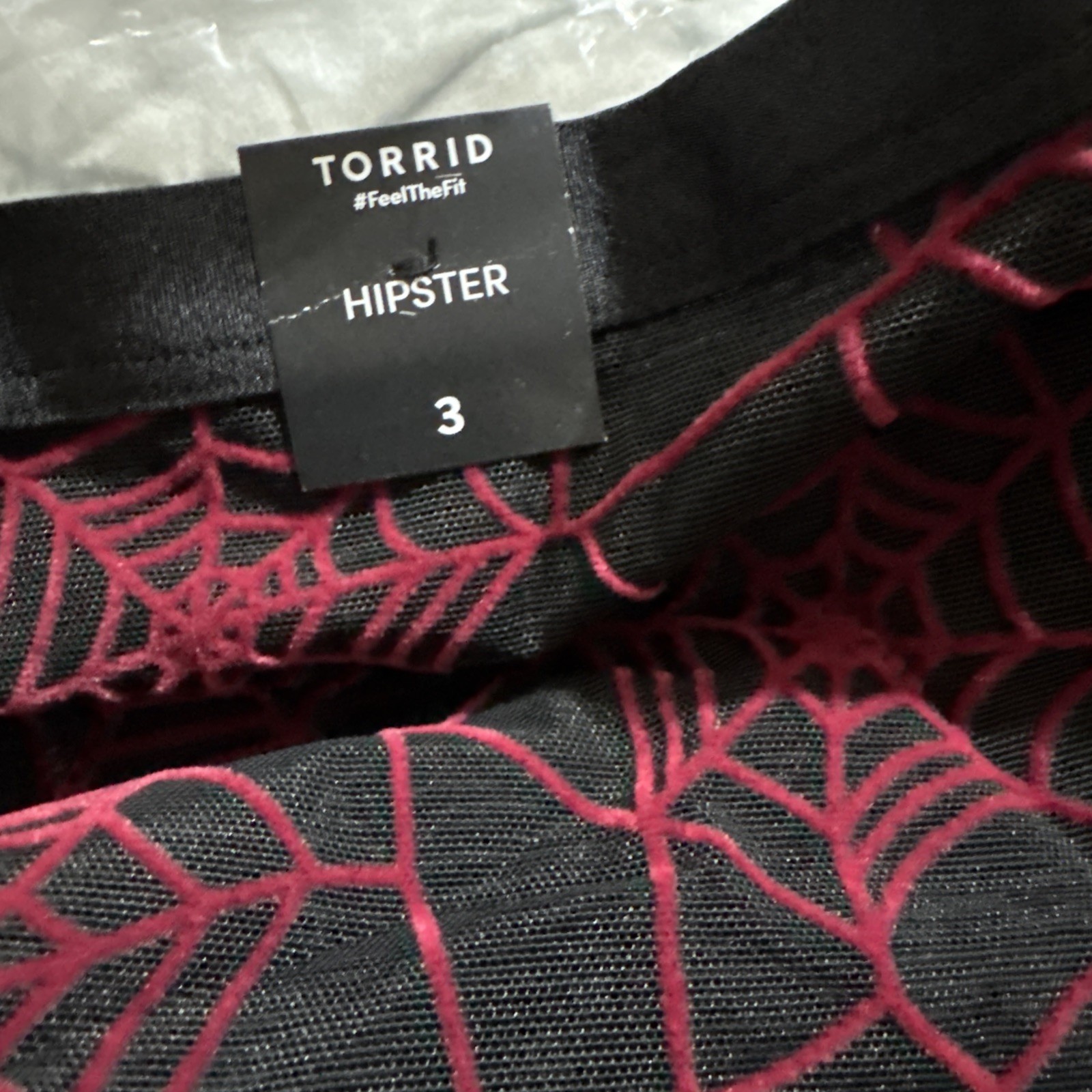 Torrid Black Flocked Mesh Red Spiderweb Hipster Panty Plus Size 3, 3X, 22-24