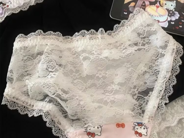 Sanrio Women’s Hello Kitty Cute KT Cat Design Cartoon Bikini Brief Panty M/L