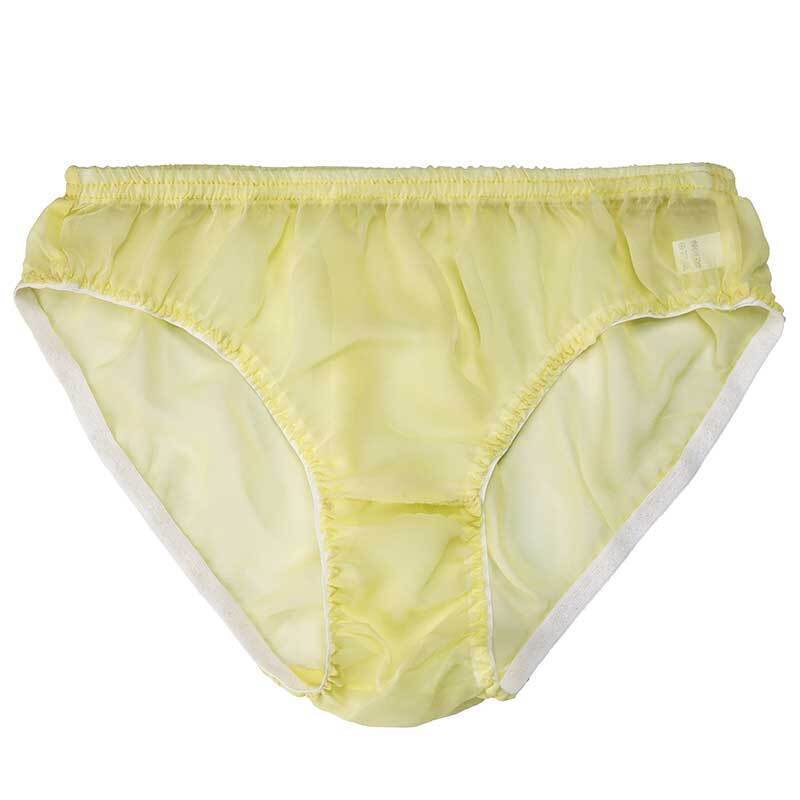 Women Pure Silk Hipster Bikini Panties Sheer Brief Transparent Underwear Knicker