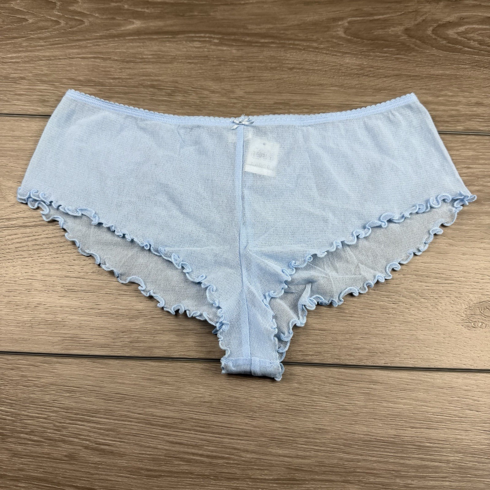 Express Women’s Sheer Brief Panties Blue Large New