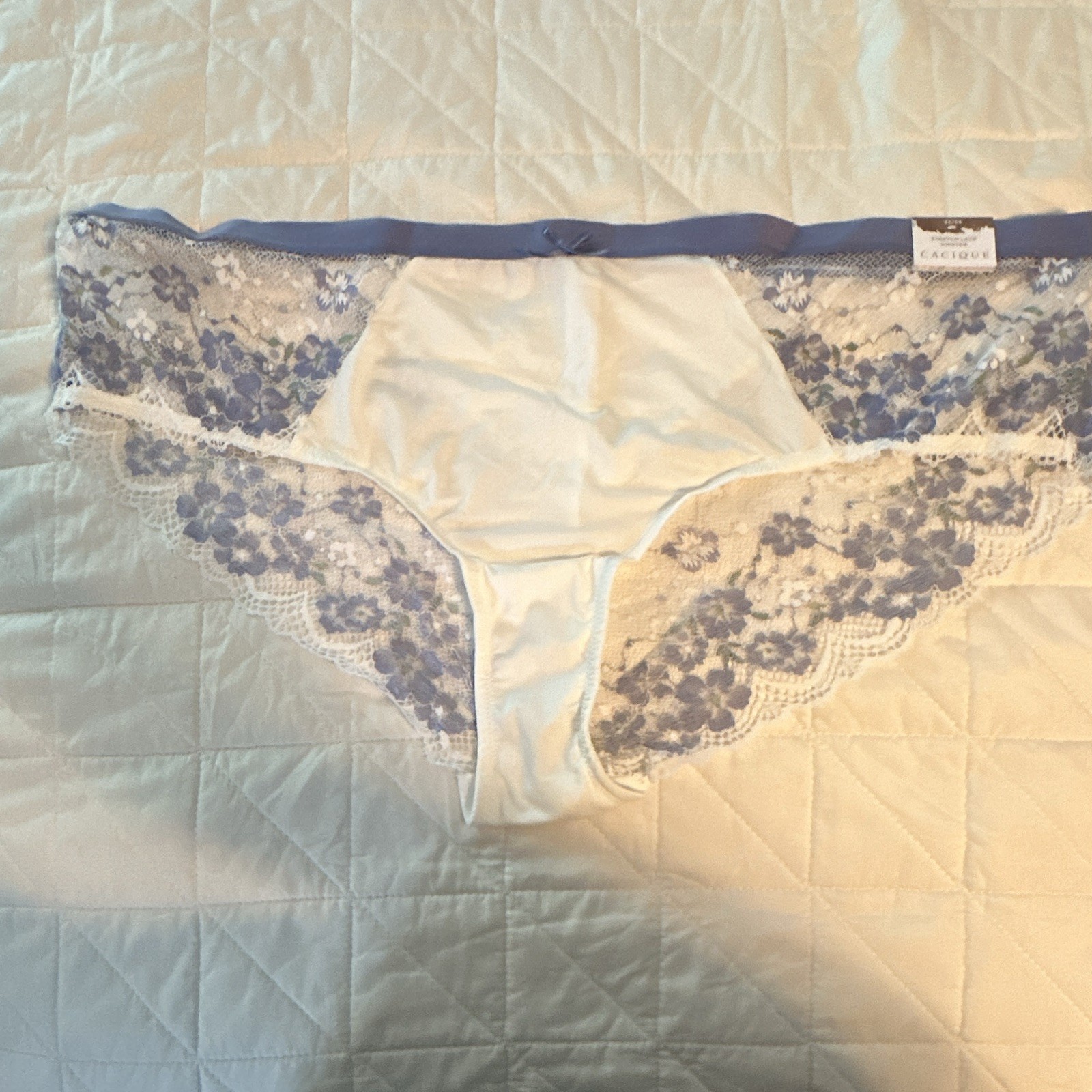 Lane Bryant Cacique Stretch Lace Hipster Panty sz 22/24 (4708)
