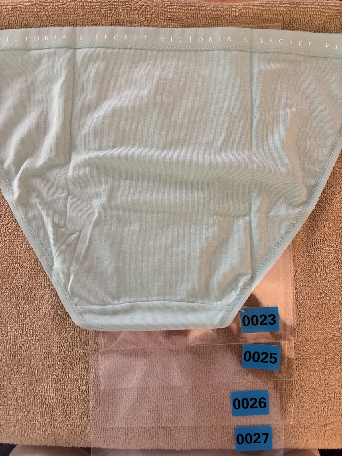 Victoria’s Secret Large Mint Green Cotton String Bikini Panty
