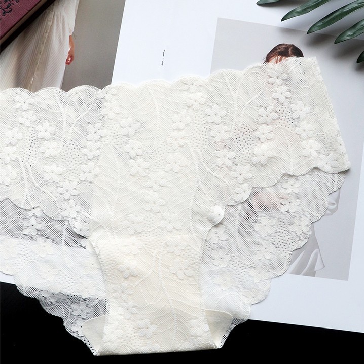 5 Pack Lot Sexy Womens Sheer Lace Panties Underwear See Through Lingeries French
