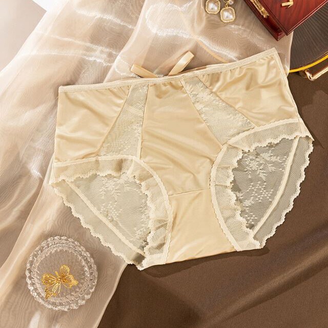 6 Packs Lot Womens Silky Satin Panties Briefs French Lace Sheer Back Lingeries