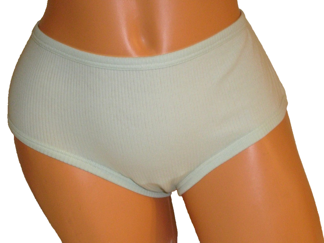 Aerie Pastel Green Ribbed Boybrief Culotte Panties Lingerie XL / 1X