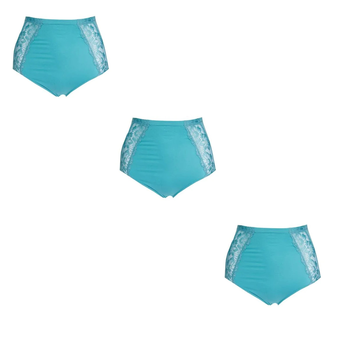 Rhonda Shear Seamless Lace Brief 3-pack 605377-J