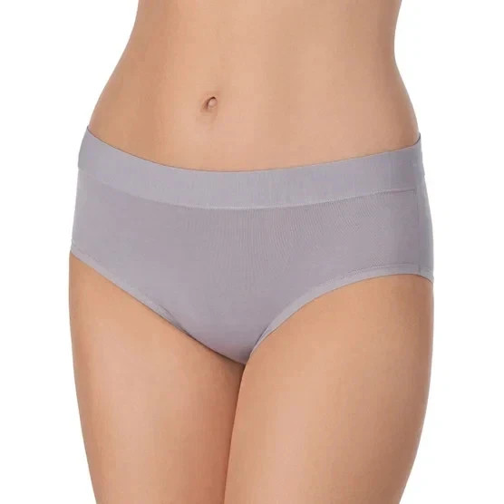 Carole Hochman Women’s 5-Pack Full Coverage Stretch Hipster, Multicolor, L