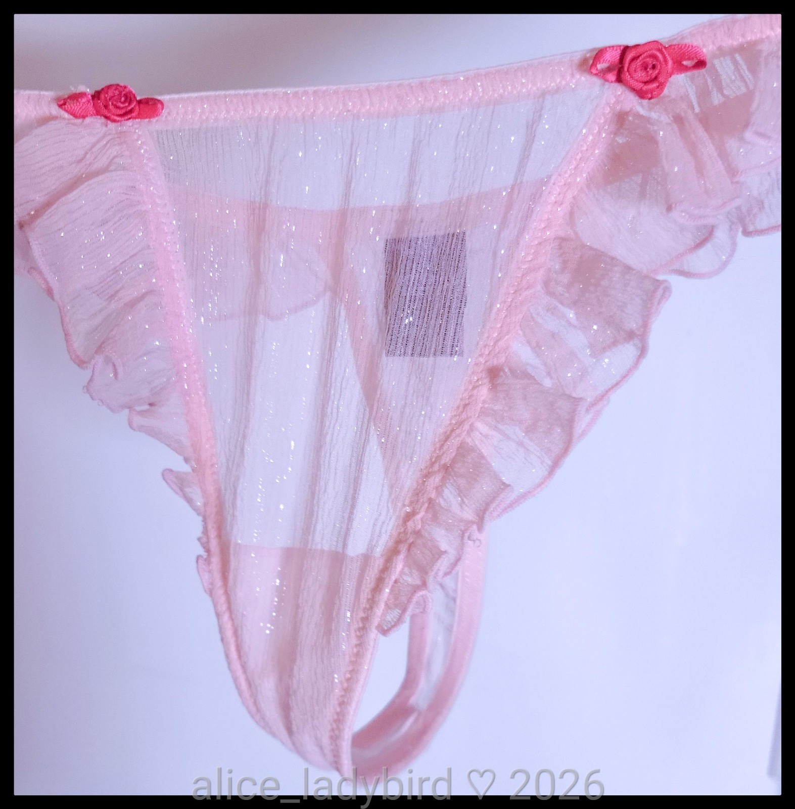 NWT Vintage ANNA SUI Victoria’s Secret SILK Sparkle PANTY Sheer CHIFFON Babydoll
