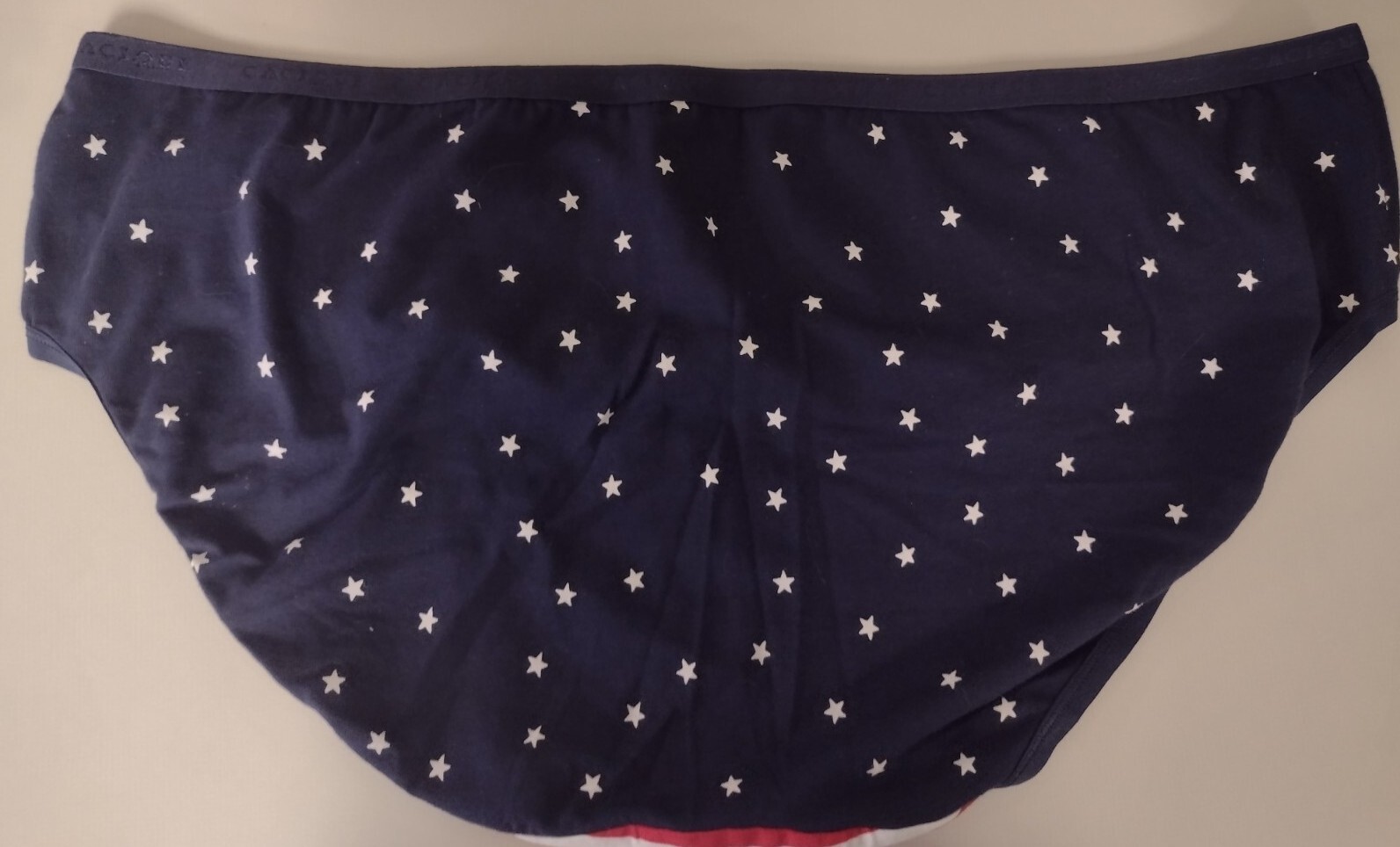 NWT CACIQUE COTTON HIPSTER PANTY 18 20 RED WHITE BLUE STRIPES & STARS USA FLAG