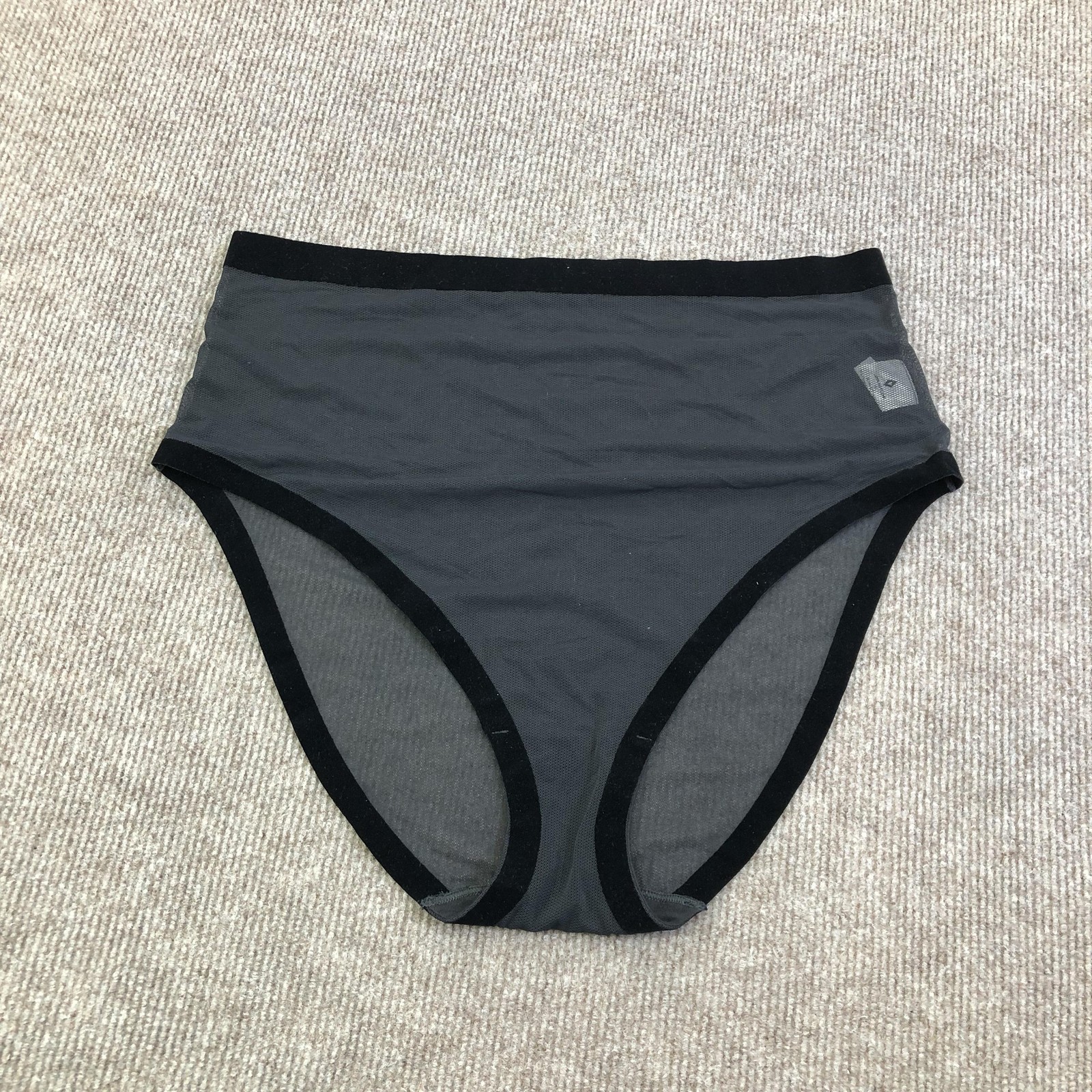 EBY Underwear Womens 2X Gray Seamless High Waist Brief Panties Plus Sheer