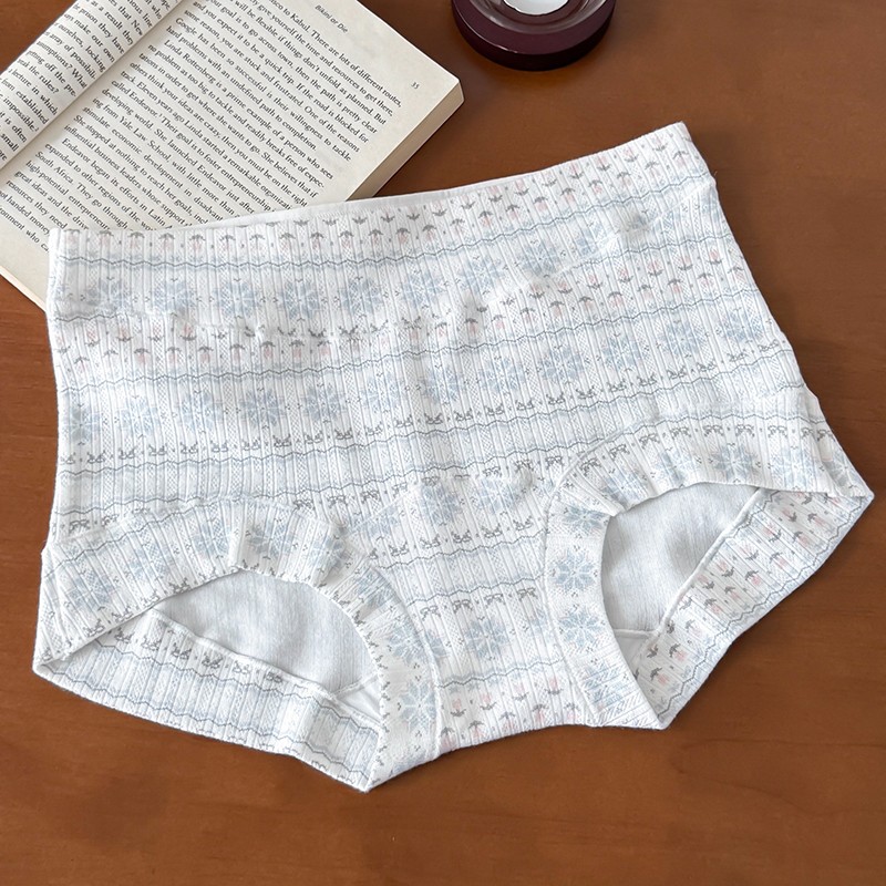 4 Pack Lot Ladies Womens Cotton Panties Briefs Underwear Comfort Sexy Lingeries