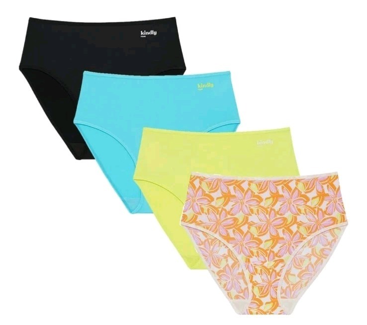 Kindly Yours Women’s XXXL 3XL (22) So Comfy 4-PACK Modern Brief Panties #10726