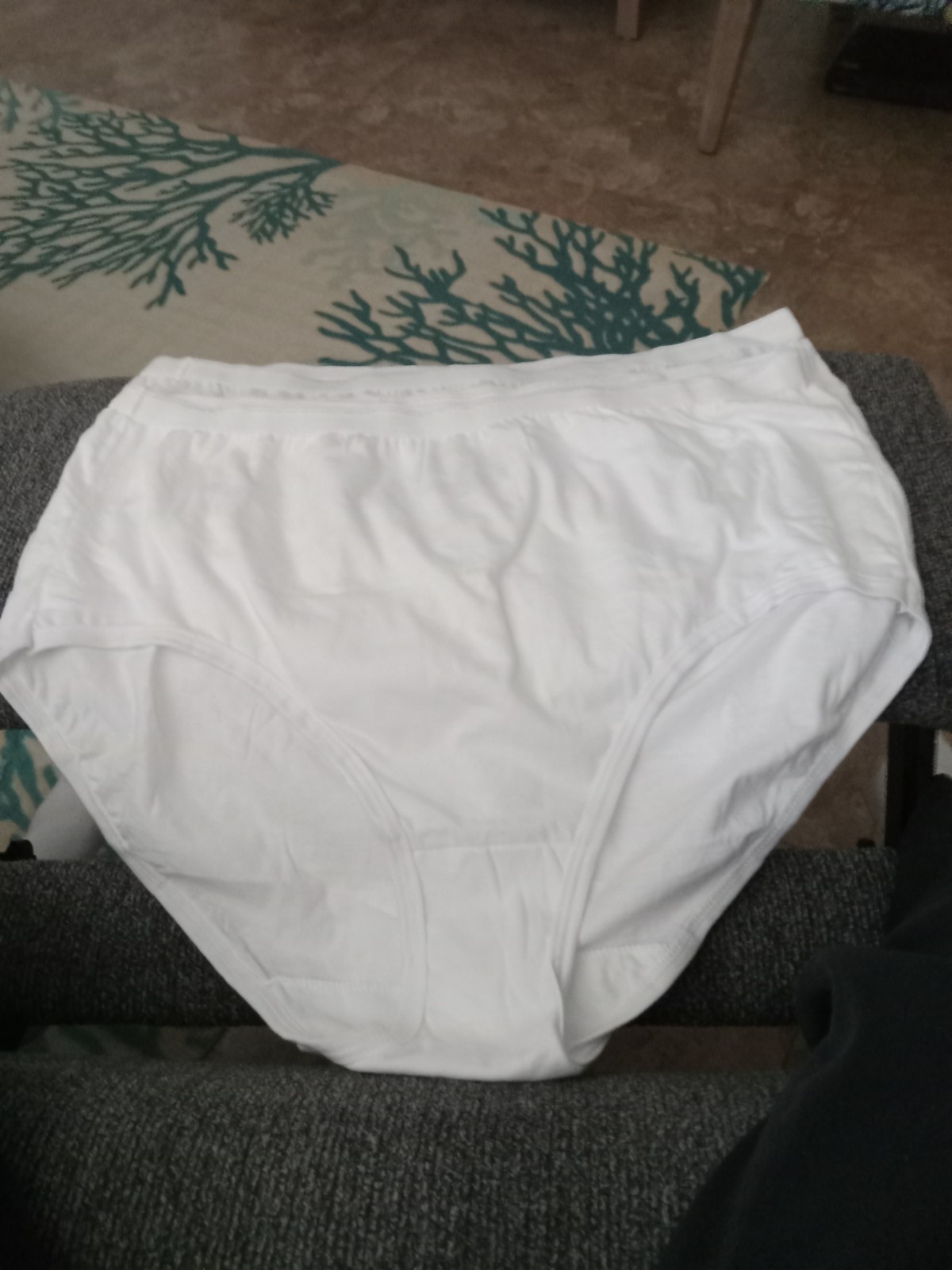 NEW Size 9 Fruit of the Loom Women’s Cotton Briefs. 3 Pairs White. No Package