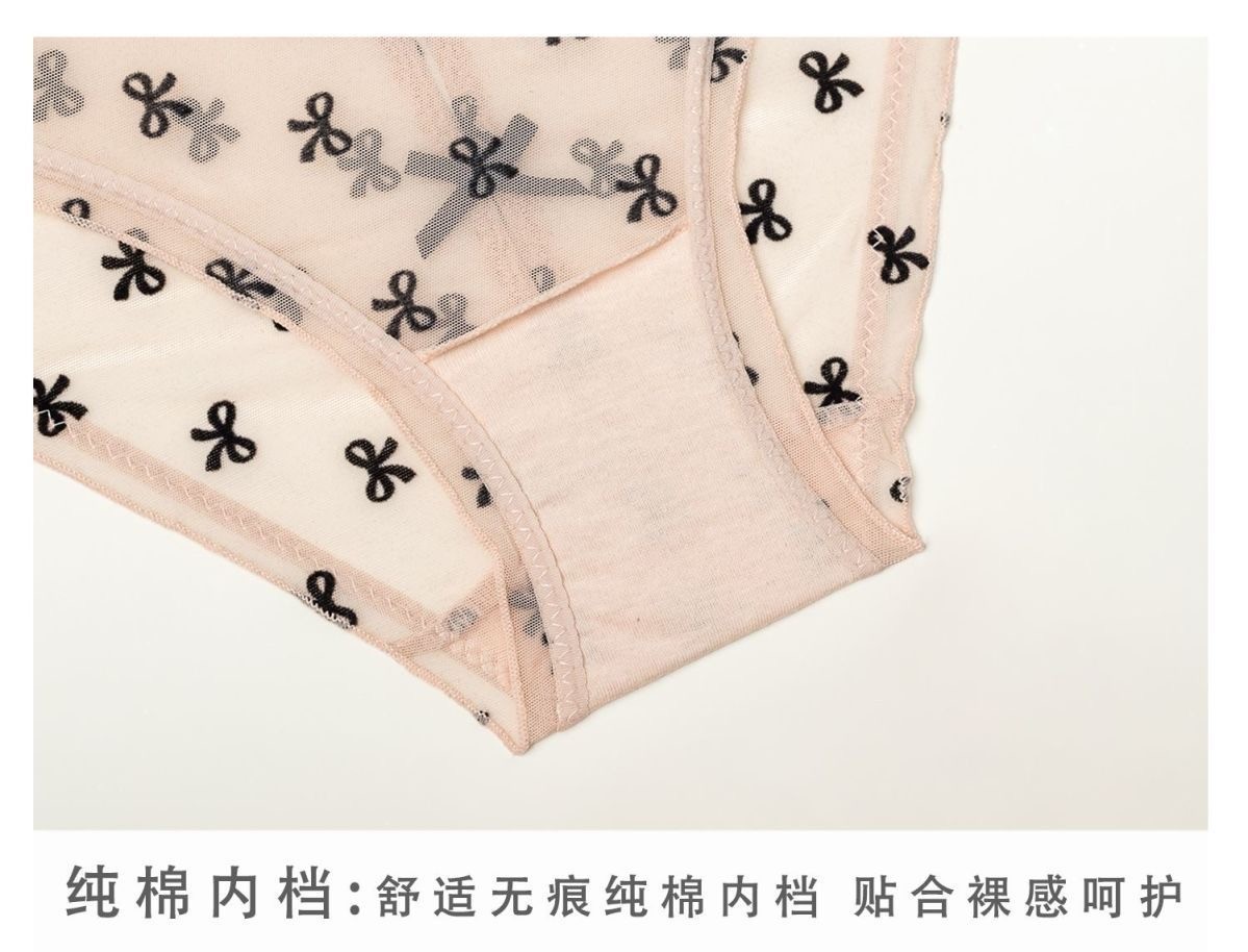 Victorian-style sexy and seductive lace thin women’s underwear Style No. 19