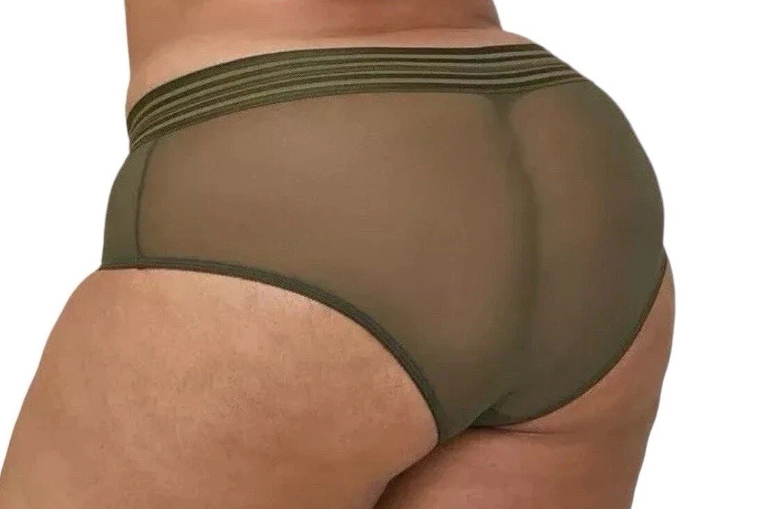 Torrid Mesh Sheer Cheeky Panties “Dark Depths” Olive Green Plus Size 4 4X 26