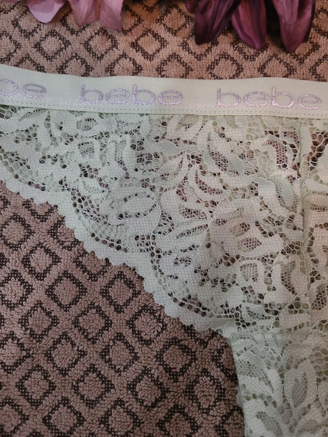 BEBE LOGO Sexy Sheer Lace SeXY Green Lace Cheeky Tanga Panties L/7 nwot