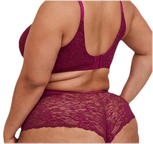 NEW Torrid Lace Cheeky Brief Panty Navarra Berry Plus Size 6 6X, 30