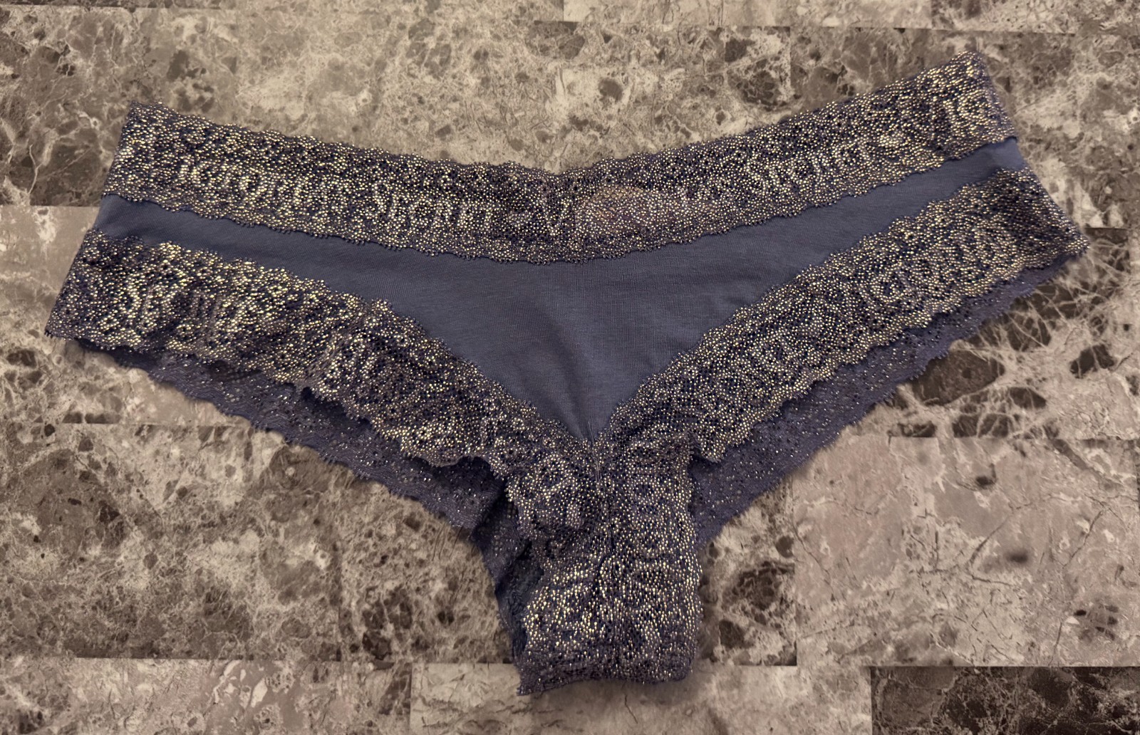 NWT VICTORIA’S SECRET SMALL BLUE GRAY GOLD SHIMMER LOGO LACE RARE CHEEKY PANTIES