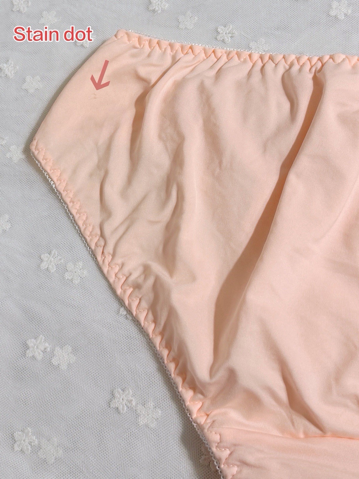 Set Of 3 US-L, XL/JP-4, 5L Japanese Embroidery Nylon Leakproof Period Panties