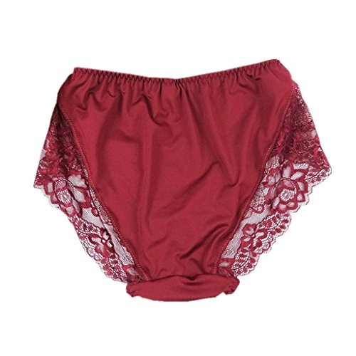 Women’s Plus Size Briefs Hi Cut Full Brief Panty Lace Trimmed 10 Plus Burgandy