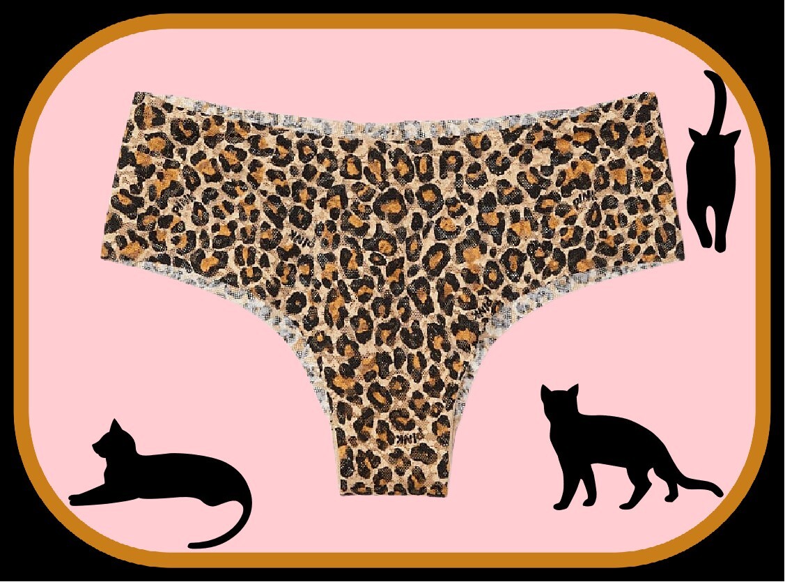 S Leopard Black Brown Tan NOSHOW All Lace Victorias Secret PINK Cheekster Panty