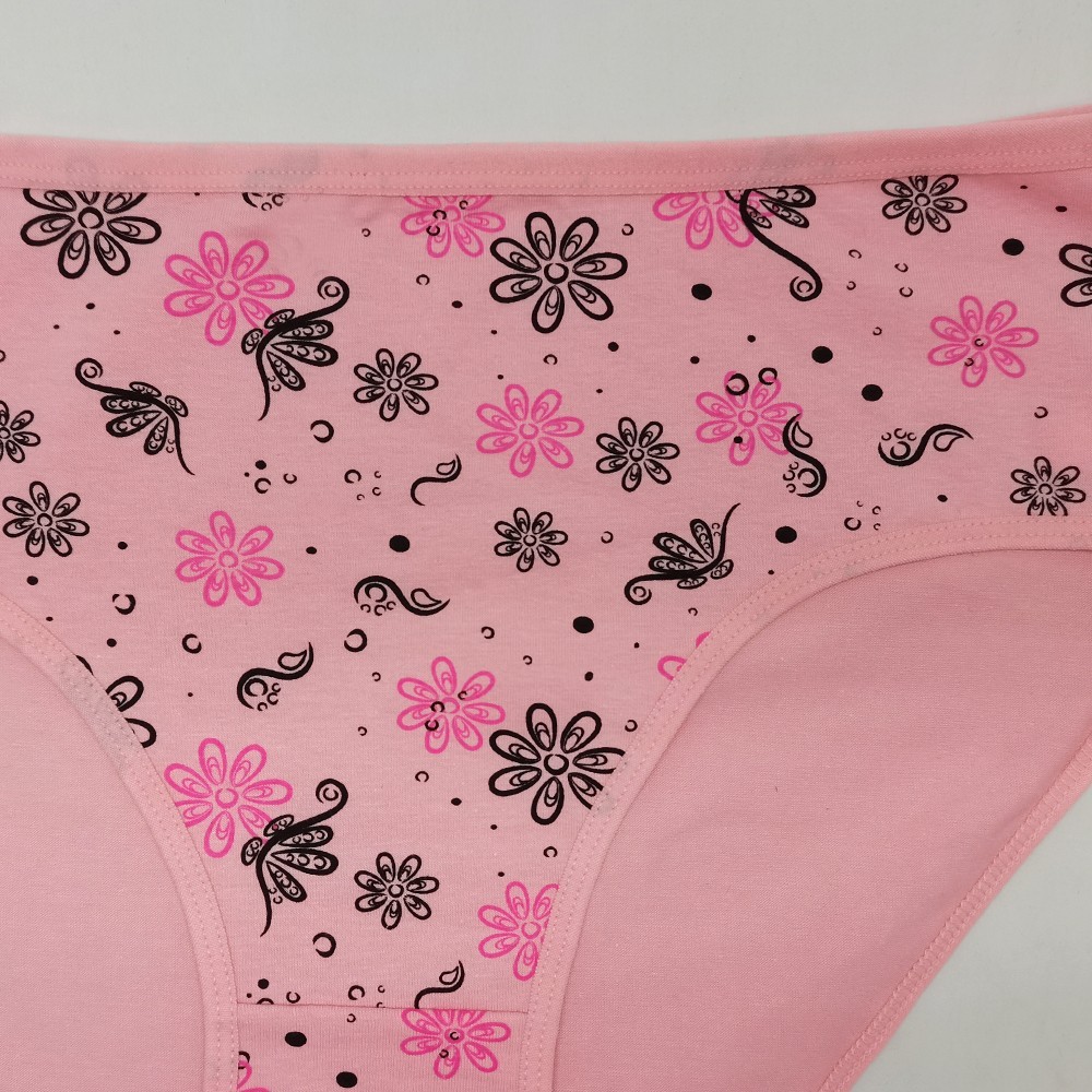 6 Pack 2XL 3XL 4XL Plus Size Women Soft Cotton Brief Panties Printed Underwear