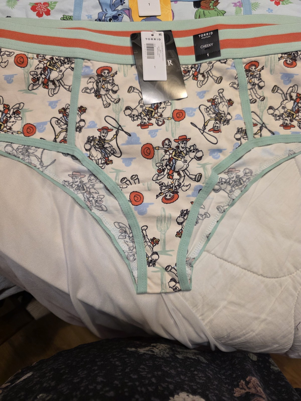 Torrid Cheeky Panties Size 1 Multicolor Disney Graphic Print